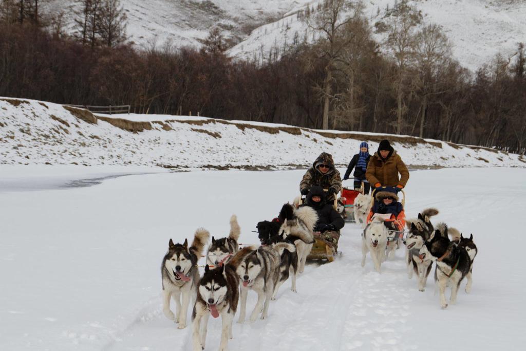 Top Tour & Guesthouse Mongolia Ulaanbaatar Luaran gambar