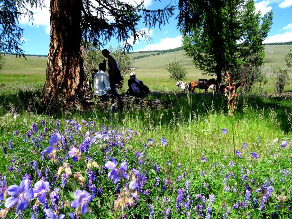 Top Tour & Guesthouse Mongolia Ulaanbaatar Luaran gambar
